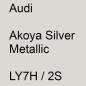 Preview: Audi, Akoya Silver Metallic, LY7H / 2S.